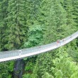 World’s Scariest Bridges